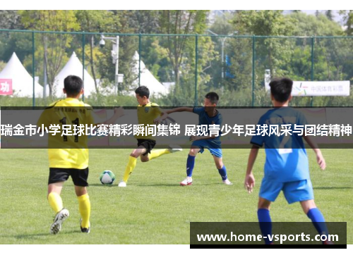 瑞金市小学足球比赛精彩瞬间集锦 展现青少年足球风采与团结精神