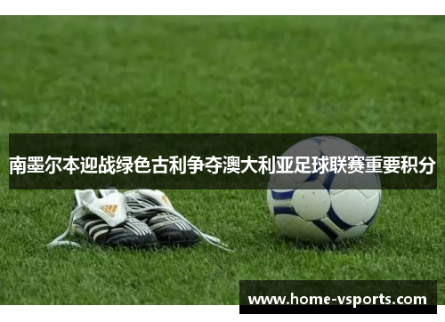 南墨尔本迎战绿色古利争夺澳大利亚足球联赛重要积分