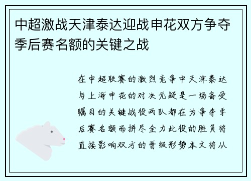 中超激战天津泰达迎战申花双方争夺季后赛名额的关键之战